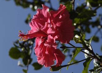 Rot: KALA. Es gibt keine Grenzen. Freiheit.